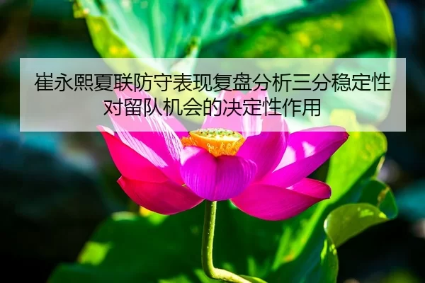 崔永熙夏联防守表现复盘分析三分稳定性对留队机会的决定性作用