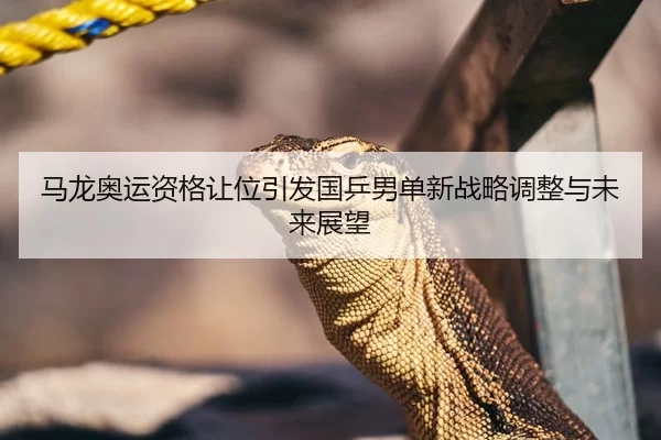 马龙奥运资格让位引发国乒男单新战略调整与未来展望