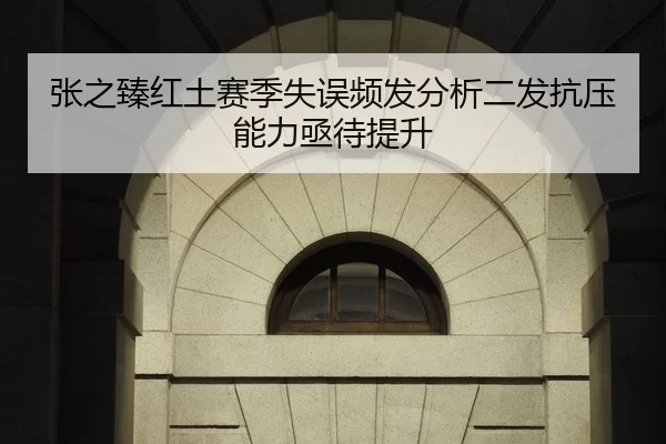 张之臻红土赛季失误频发分析二发抗压能力亟待提升