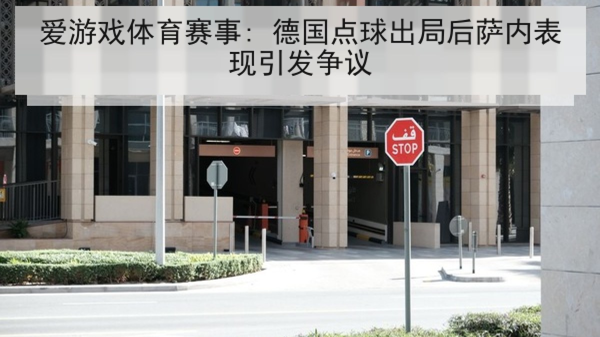 爱游戏体育赛事: 德国点球出局后萨内表现引发争议