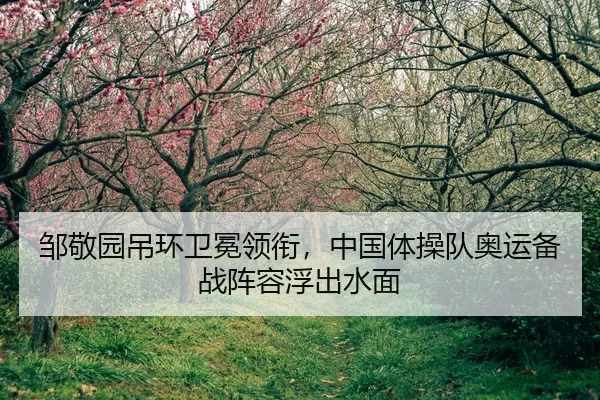zou-jing-yuan-diao-huan-wei-mian-ling-xian-zhong-guo-ti-cao-dui-ao-yun-bei-zhan-zhen-rong-fu-chu-shui-mian-2-888.jpg