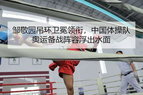 邹敬园吊环卫冕领衔，中国体操队奥运备战阵容浮出水面